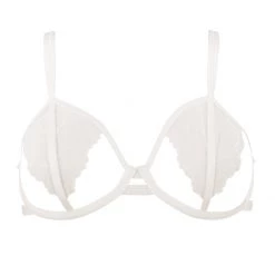 Bluebella SALE Emerson Bra Ivory 10 Bluebella SALE Emerson Bra Ivory