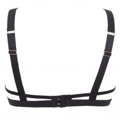 Bluebella - US Bras Lilia Mesh Wired Bra