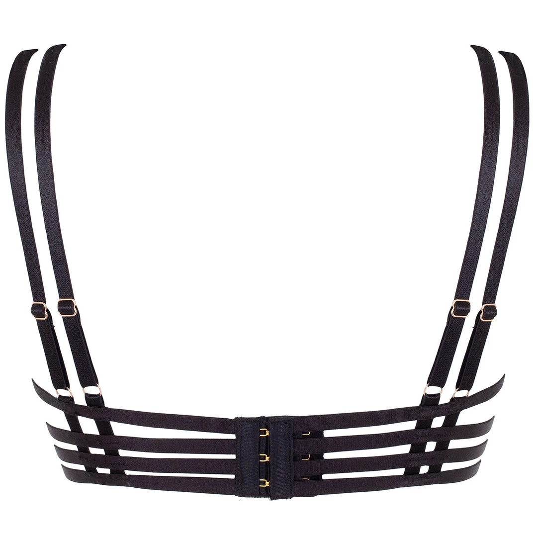 Bluebella - US SALE Bella Bra Black 4 Bluebella - US SALE Bella Bra Black