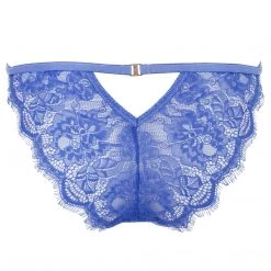 Bluebella - US Nyane Lace Brief SALE 13 Bluebella - US Nyane Lace Brief SALE