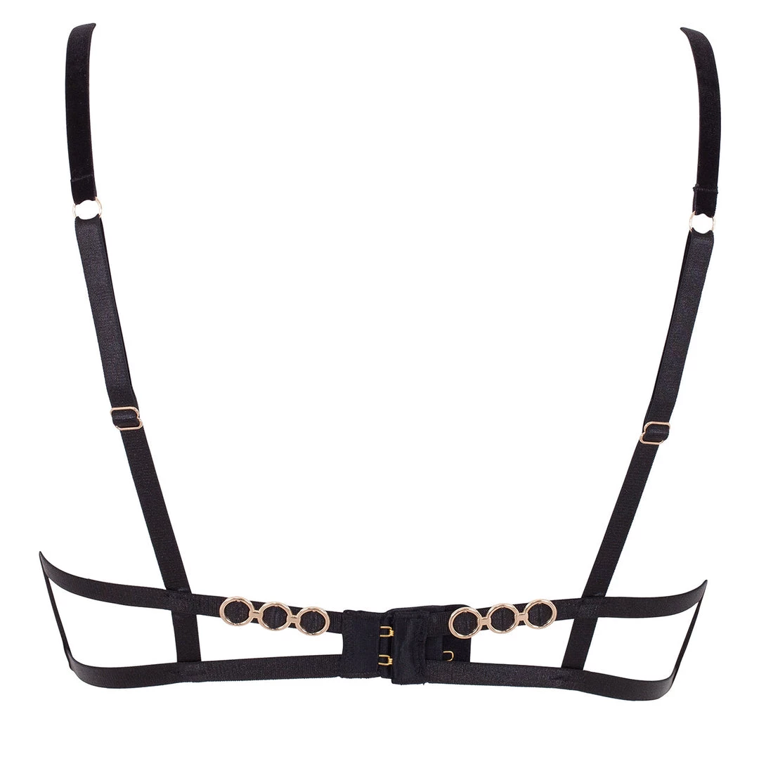 Bluebella - US SALE Tabitha Bra Black 4 Bluebella - US SALE Tabitha Bra Black