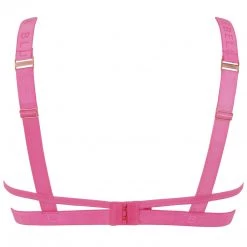 Bluebella - US Lilia Mesh Wired Bra Fandango Pink