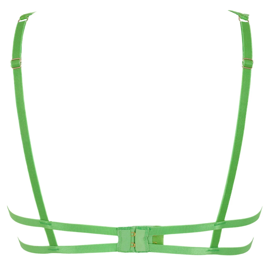 Bluebella - US Audrey Bra Forest Green 4 Bluebella - US Audrey Bra Forest Green