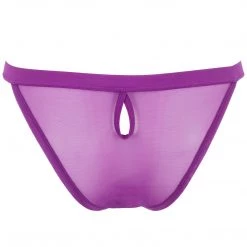 Bluebella - US SALE Lilia Mesh Brief