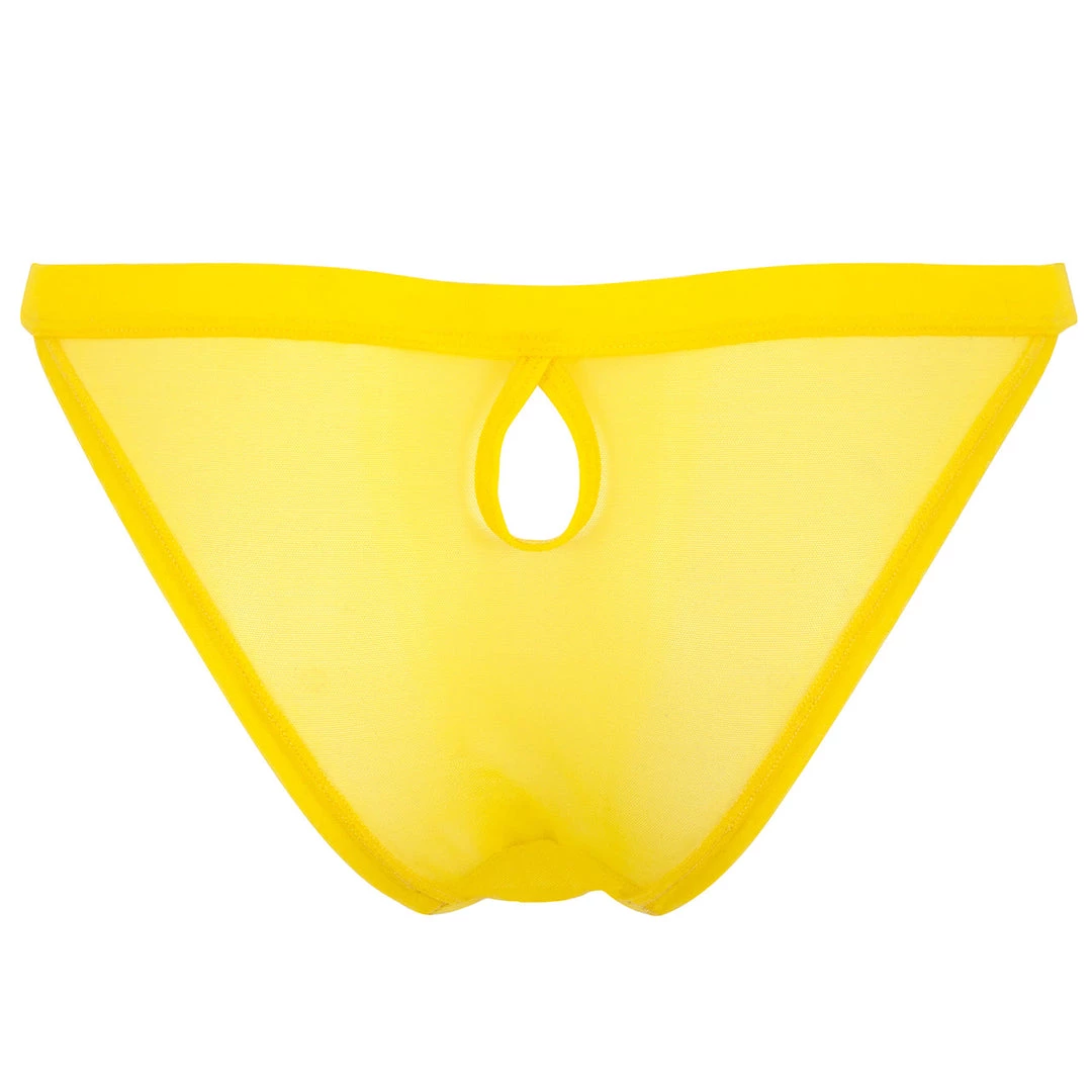 Bluebella - US Lilia Mesh Brief SALE 4 Bluebella - US Lilia Mesh Brief SALE