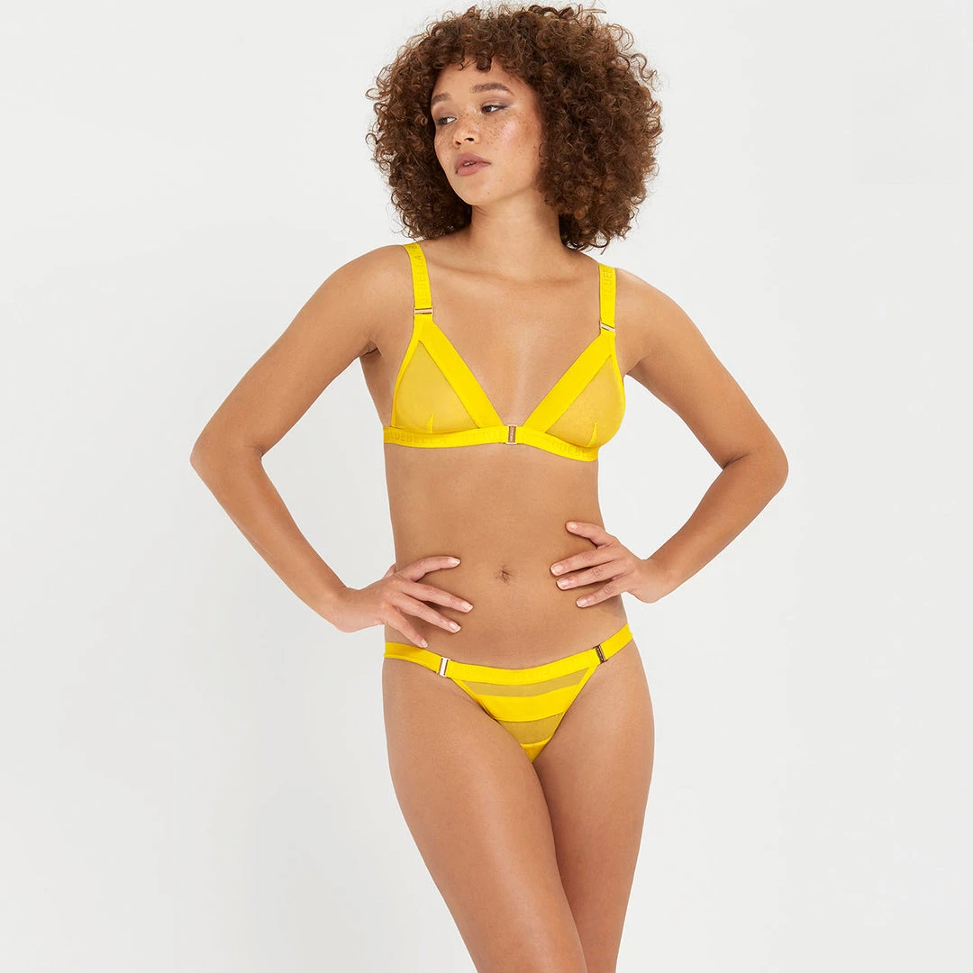 Bluebella - US Lilia Mesh Brief SALE 5 Bluebella - US Lilia Mesh Brief SALE