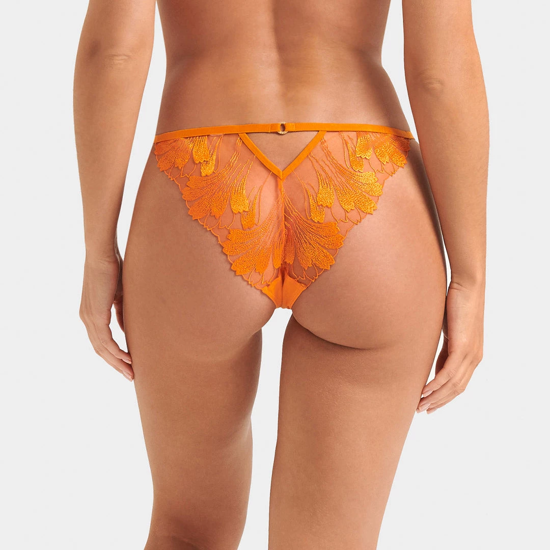 Bluebella - US Colette Panty Orange Peel Panties 2 Bluebella - US Colette Panty Orange Peel Panties