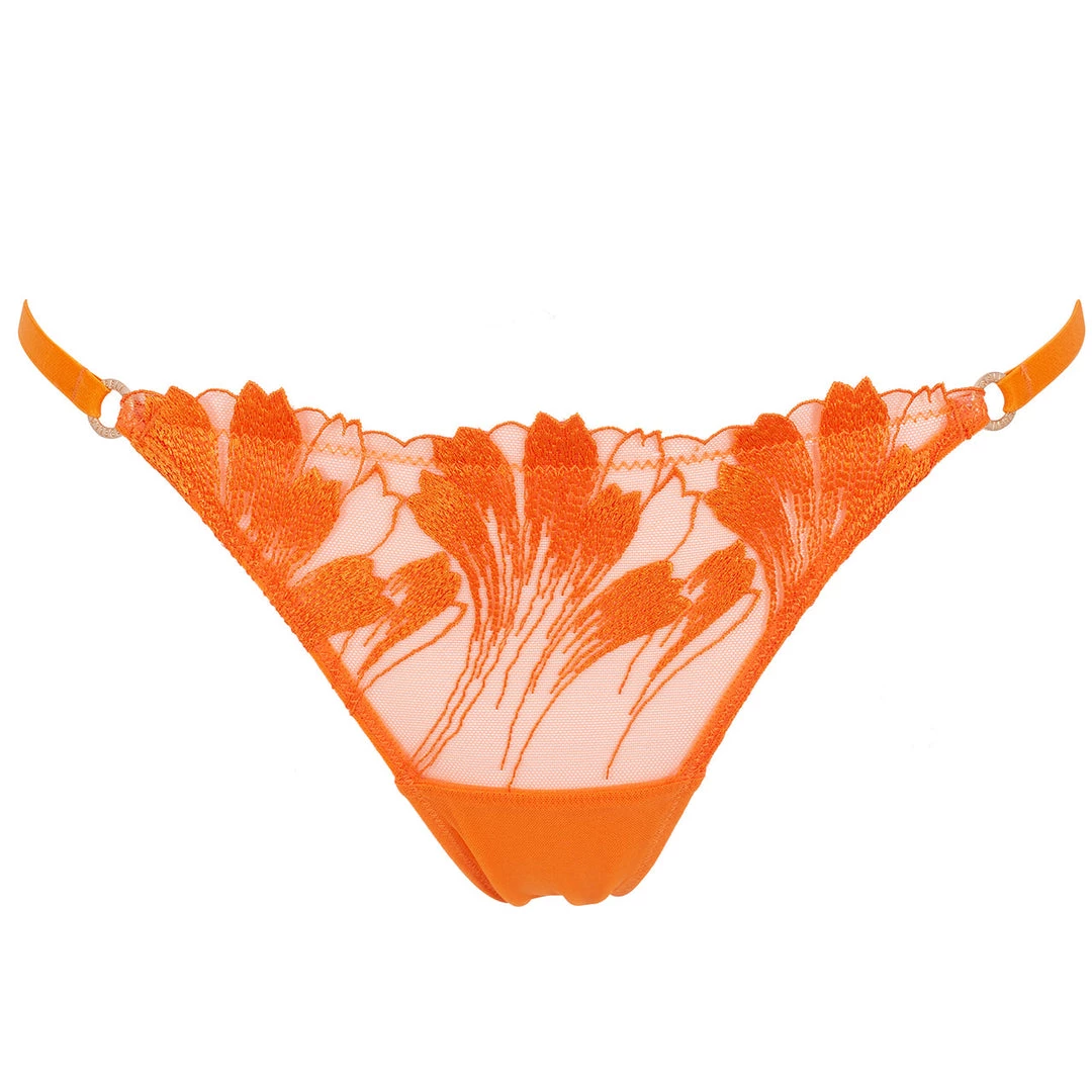 Bluebella - US Colette Panty Orange Peel Panties 3 Bluebella - US Colette Panty Orange Peel Panties