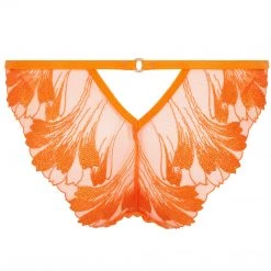 Bluebella - US Colette Panty Orange Peel Panties 11 Bluebella - US Colette Panty Orange Peel Panties