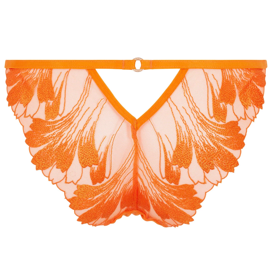 Bluebella - US Colette Panty Orange Peel Panties 4 Bluebella - US Colette Panty Orange Peel Panties